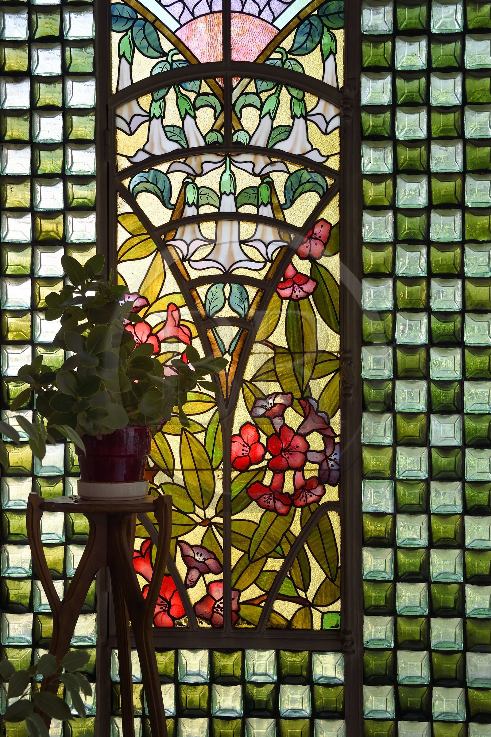France, Meurthe-et-Moselle, Nancy, the Bergeret House of Art Nouveau style, stained glass windows of the winter garden, stained glass by Joseph Janin