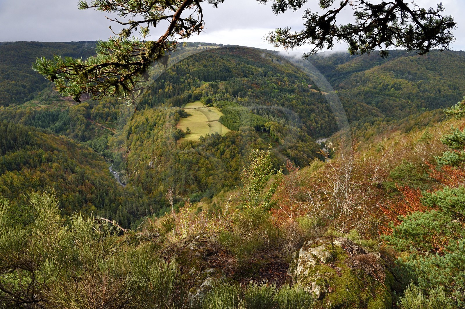 France, Ardèche (07), parc naturel régional des Monts d'Ardèche, massif du Mézenc, forêt de Lac-d'Issarlès, belvédère de Rang Goutier au sommet de Montchamp, point de vue panoramique sur la vallée de la Loire