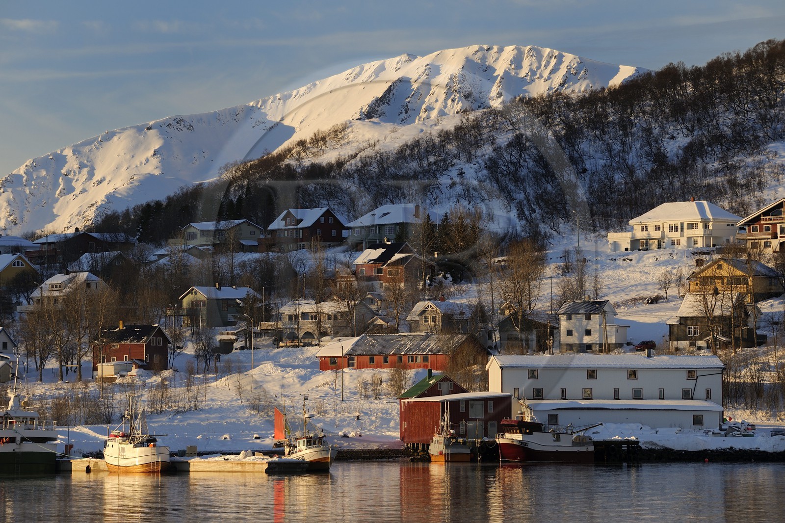 Norvège, Nordland, iles des Westeralen, port de Myre