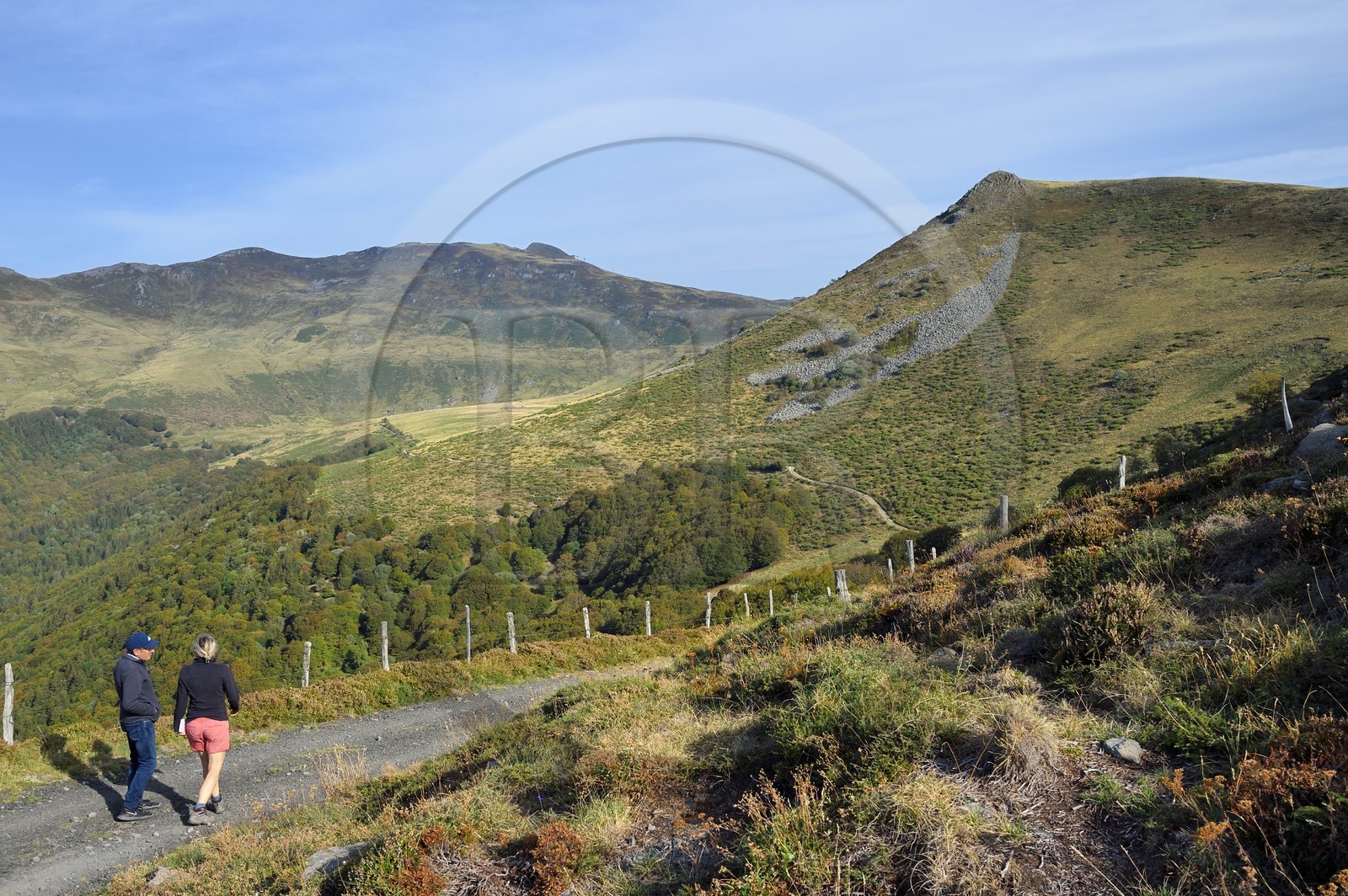 France, Cantal (15), Parc Naturel Régional des Volcans d’Auvergne, vallée de Brezons qui se commence dans le cirque de Grandval au pied du Plomb du Cantal que l'on aperçoit en arrière plan et à doite le Puy Gerbel