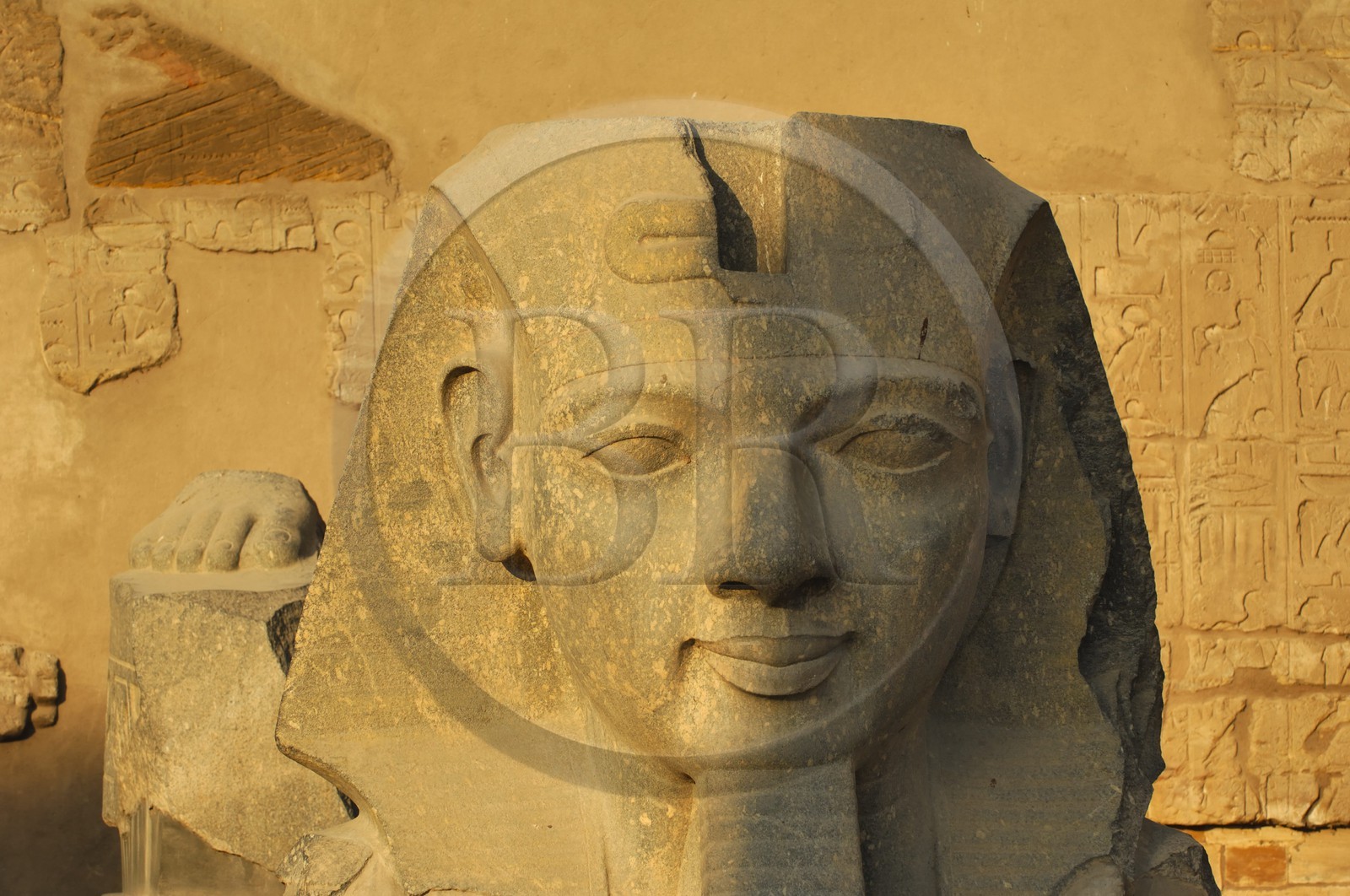 Egypte, Haute Egypte, vallée du Nil, temple de Louxor classé Patrimoine Mondial de l'UNESCO, tête de Ramses II devant le 1er pylone