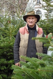 France, Bas-Rhin (67), Strasbourg, vieille ville classée au Patrimoine Mondial de l’UNESCO, Marché de Noel (Christkindelsmarik) de la place Broglie, Daniel Bailly vend des sapins pour la famille Schwoob implantée sur le marché de noël depuis de nombreuse années