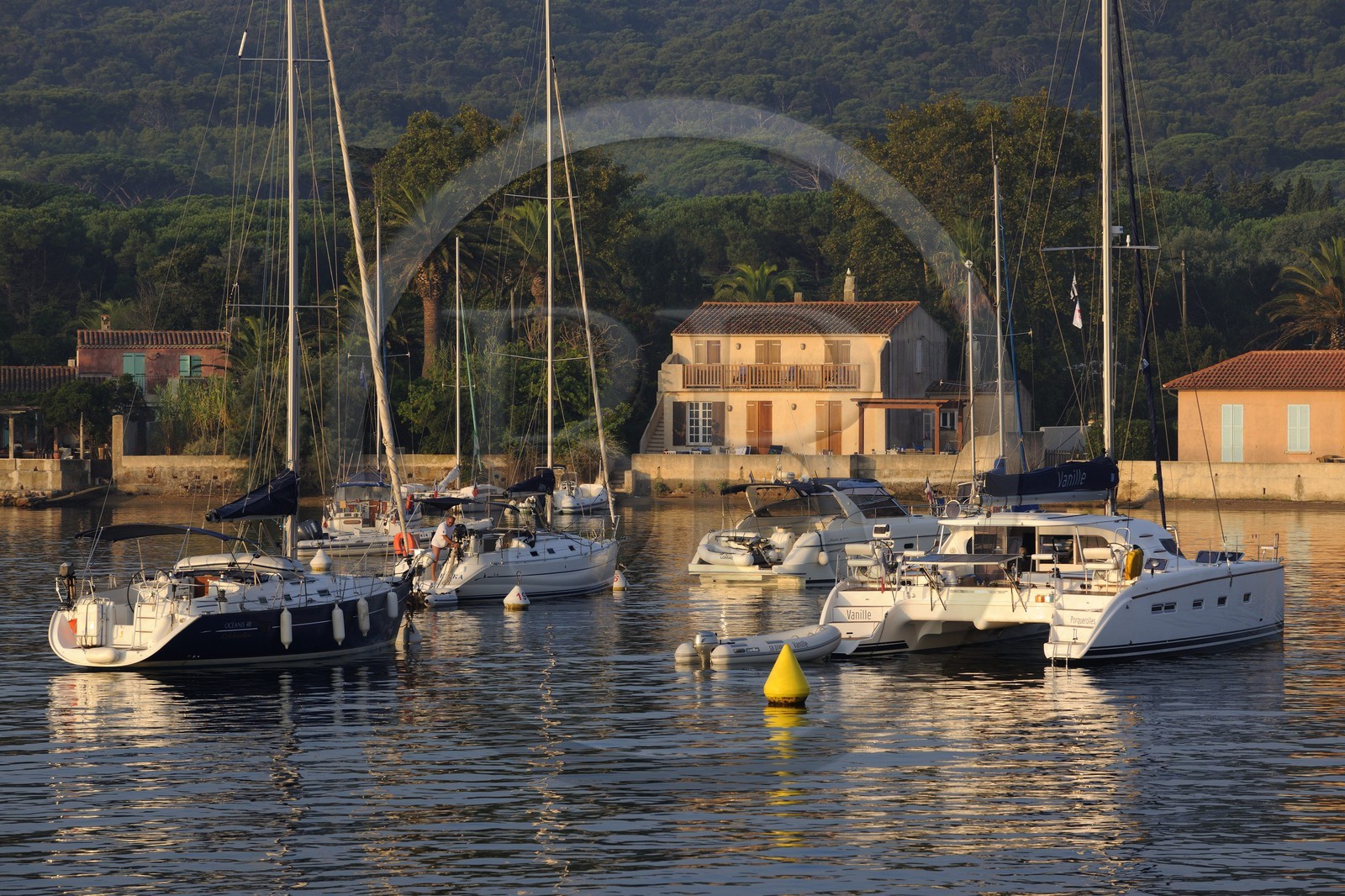 France, Var (83), Iles d'Hyères, parc national de Port-Cros, île de Porquerolles, le port du village