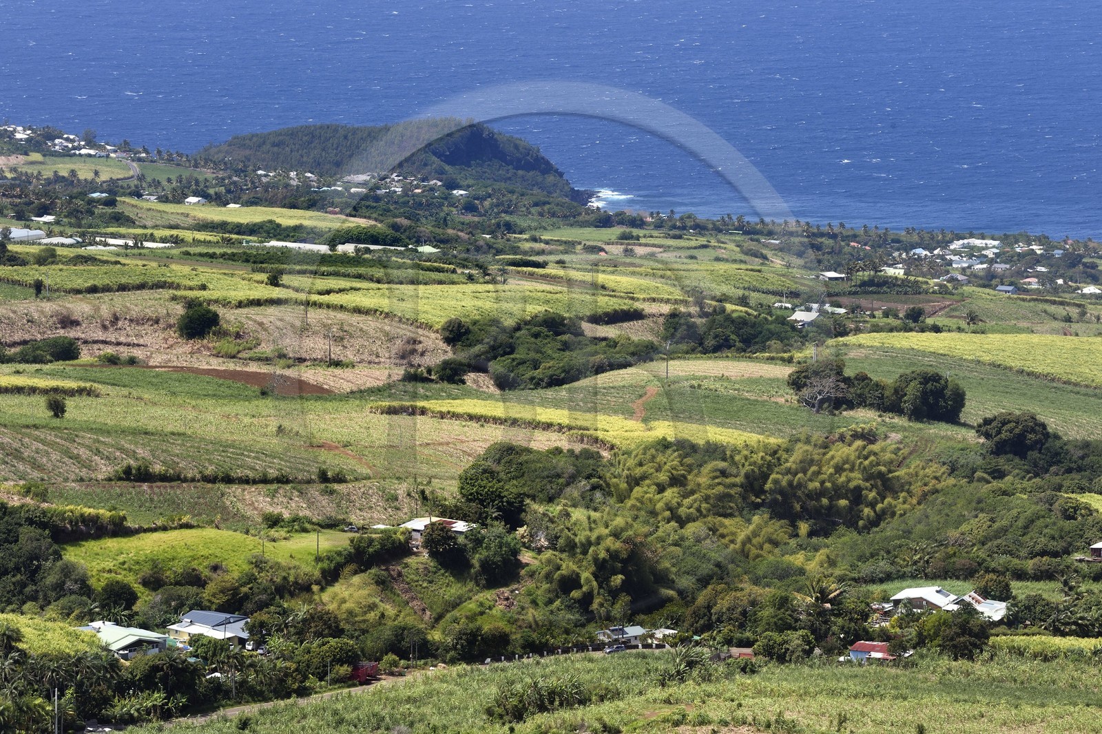France, Ile de la Reunion, Petite Ile, champs de cannes à sucre vers Anse-les Bas vus depuis le piton de Mont Vert