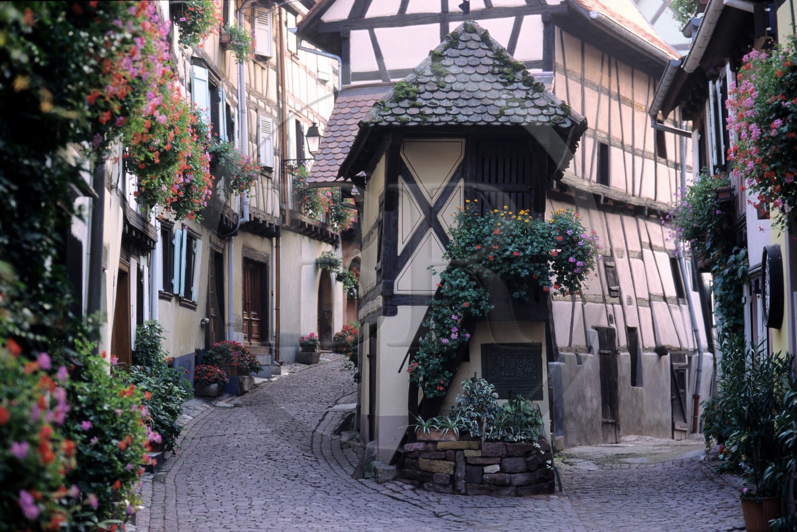 France, Haut-Rhin (68), Route des vins d' Alsace, Eguisheim, labellisé Les Plus Beaux Villages de France, maison à colombages