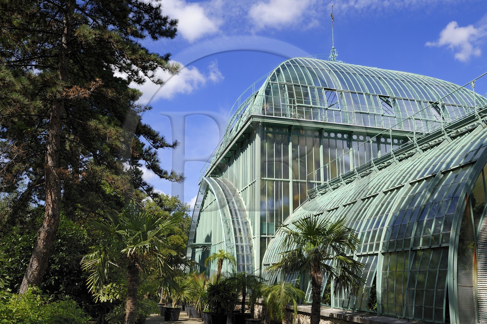 France, Paris (75),  Jardin des Serres d'Auteuil, la grande serre