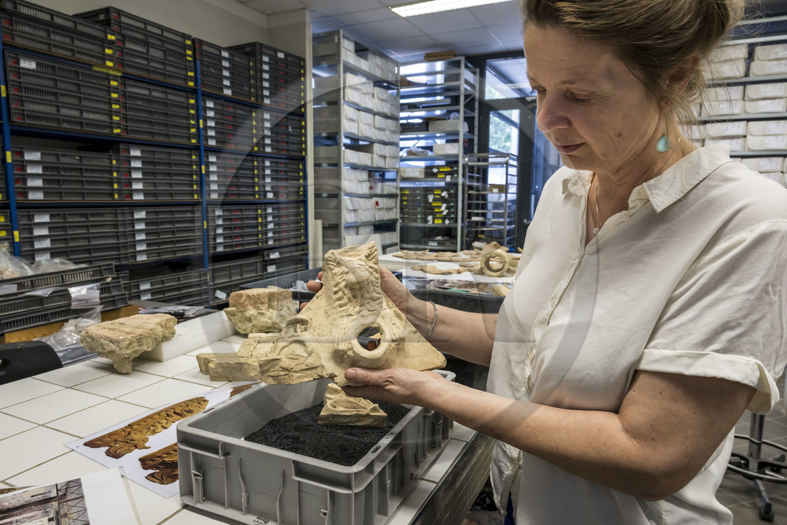 France, Bouches-du-Rhône (13), Arles, musée départemental Arles antique, salle d’étude du service archéologie, recherches des fouilles du site de l'ancienne verrerie de Trinquetaille sur la rive droite du Rhone, maison de la harpiste (entre 70 et 50 av. J.-C.), figure de chien protecteur en tuile et gargouilles de la toiture de l'atrium, l'archéologue Marie-Pierre Rothé