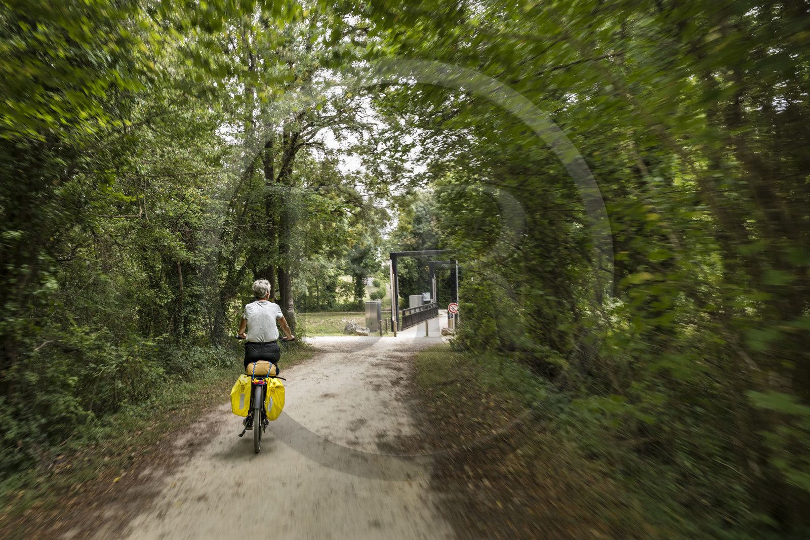 France, Charente Maritime, Echillais, cyclist in the Bois du Chay arriving at the lifting footbridge which spans the Charente-Seudre canal (Bridoire canal)