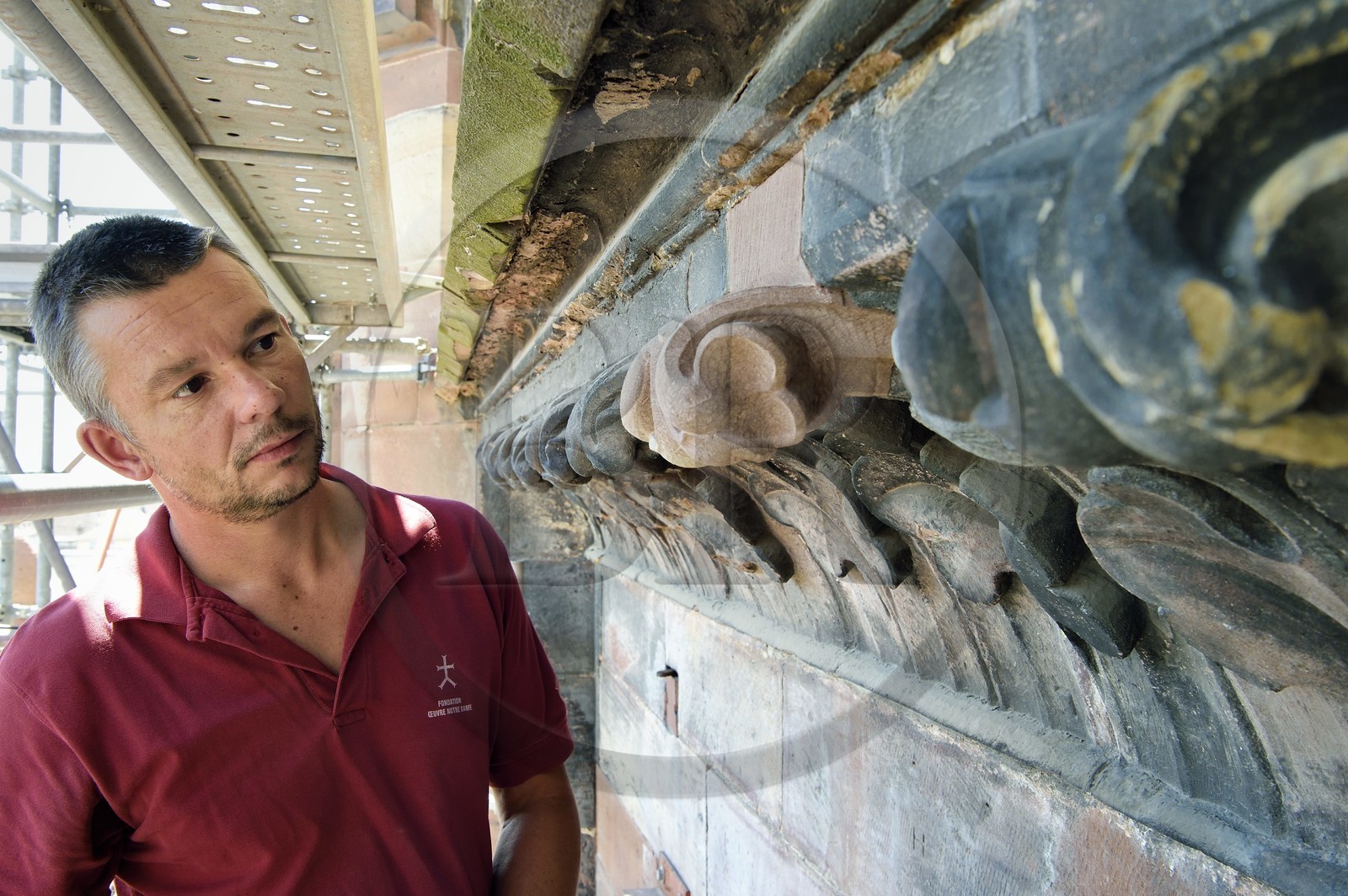 France, Bas-Rhin (67), Strasbourg, vieille ville classée au Patrimoine Mondial de l'UNESCO, la cathédrale Notre-Dame, chargé de la conservation à la Fondation de l'Oeuvre Notre-Dame et aussi restaurateur-tailleur de pierre, Mathieu Baud observe des traces de polychromie sur la frise végétale