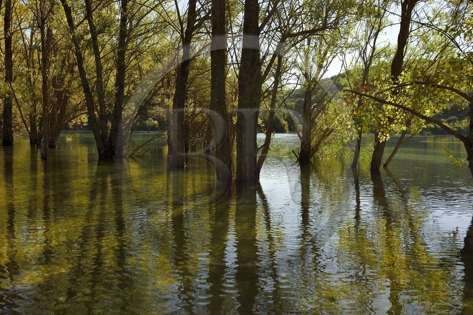 Var on the Left Bank and Alpes de Haute Provence on the Right Bank, Parc Naturel Regional du Verdon, Basses Gorges du Verdon downstream of Lake St. Croix