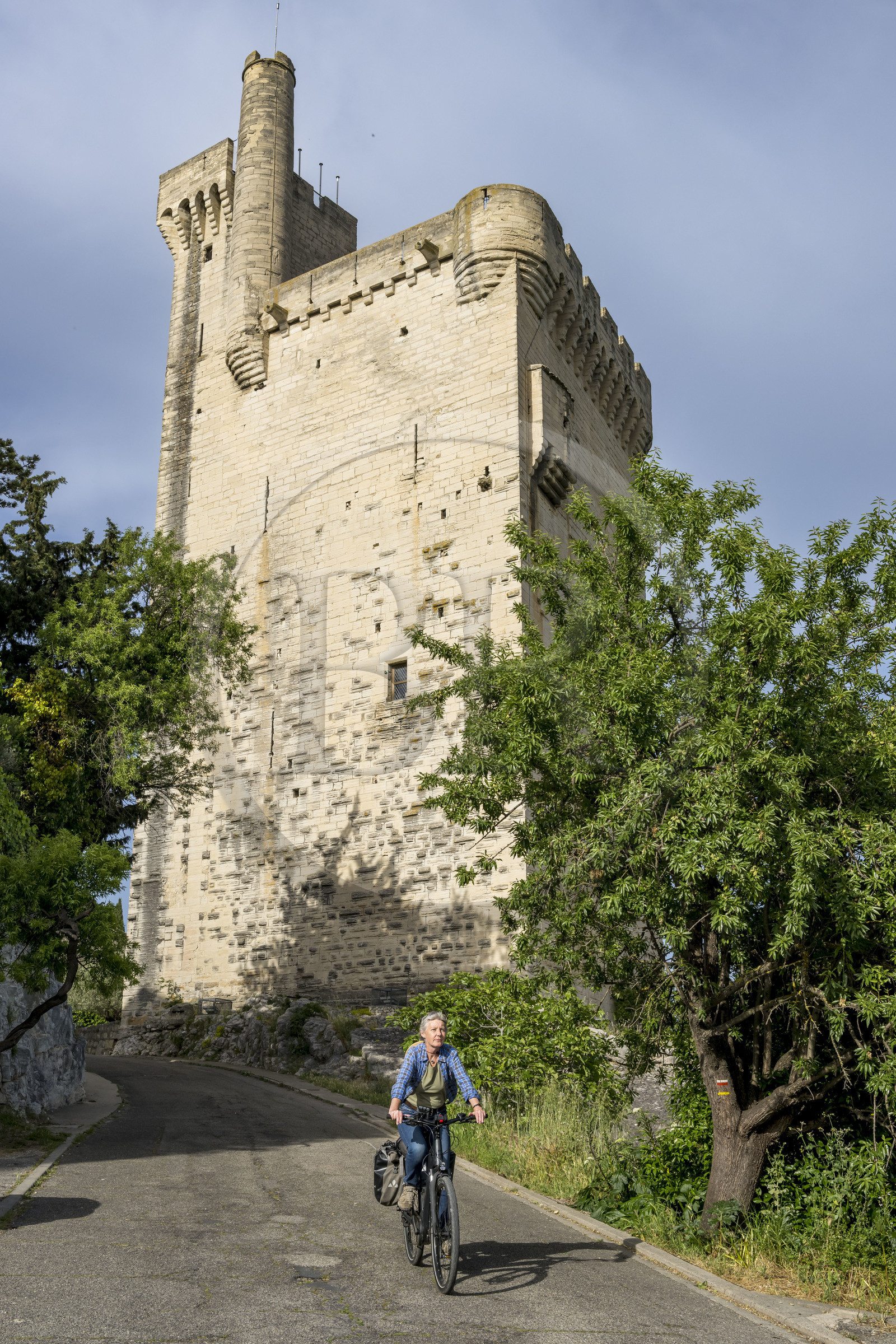 France, Gard, Villeneuve les Avignon, the 14th century Philippe Le Bel tower