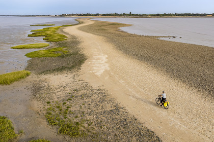 France, Charente Maritime, Port-des-Barques, cyclist on a hike,  the tombolo of Passe aux Boeufs which connects Ile Madame to the continent (aerial view)