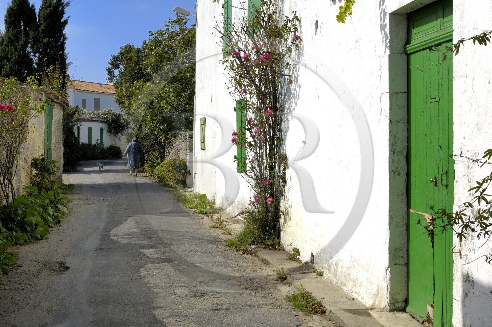 France, Charente-Maritime (17), ile de Ré, La Couarde-sur-Mer, ferme au coeur du village