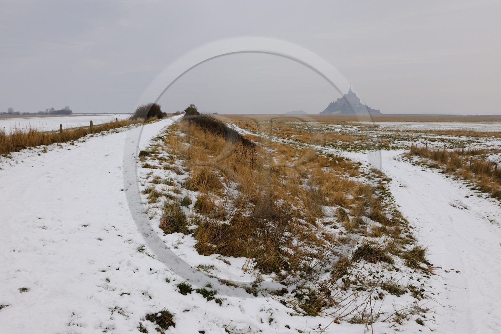 France, Ille-et-Vilaine (35), le polder du Mont-Saint-Michel