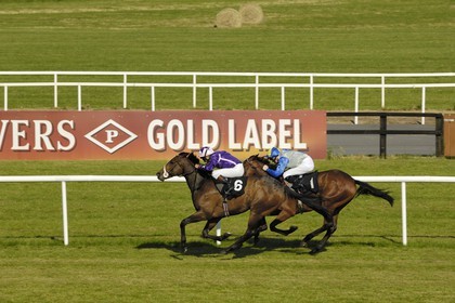 Irlande, Co. Meath, hippodrome de Fairyhouse, course de chevaux