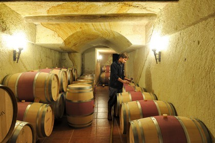 Turquie, Anatolie Centrale, province de Nevsehir, Cappadoce classée Patrimoine Mondial de l'UNESCO, Ürgüp, caves troglodytiques du producteur de vin Turasan