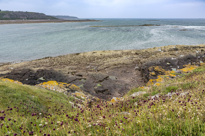 France, Côtes d'Armor (22), Grand Site de France Cap d'Erquy – Cap Fréhel, Erquy, côte de l'Ilot Saint-Michel