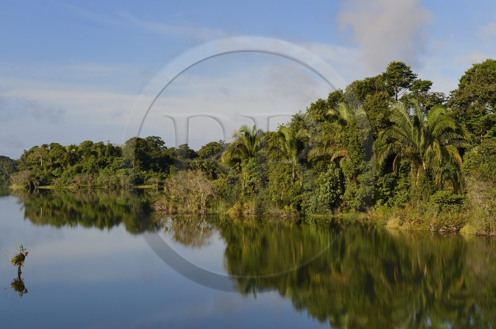 Panama, l'isthme de Panama entre Panama City et Colon le long de la ligne de train de la Panama Canal Railway