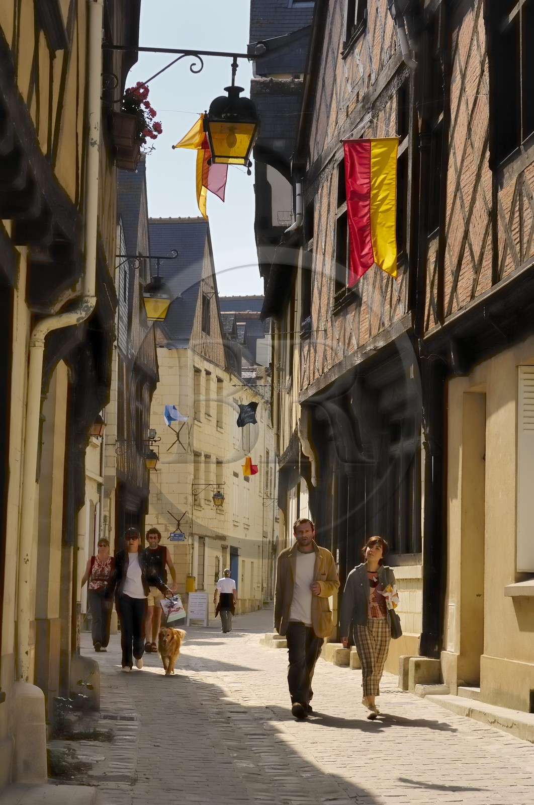 France, Indre et Loire, Loire Valley listed as World Heritage by UNESCO, Chinon, rue Voltaire