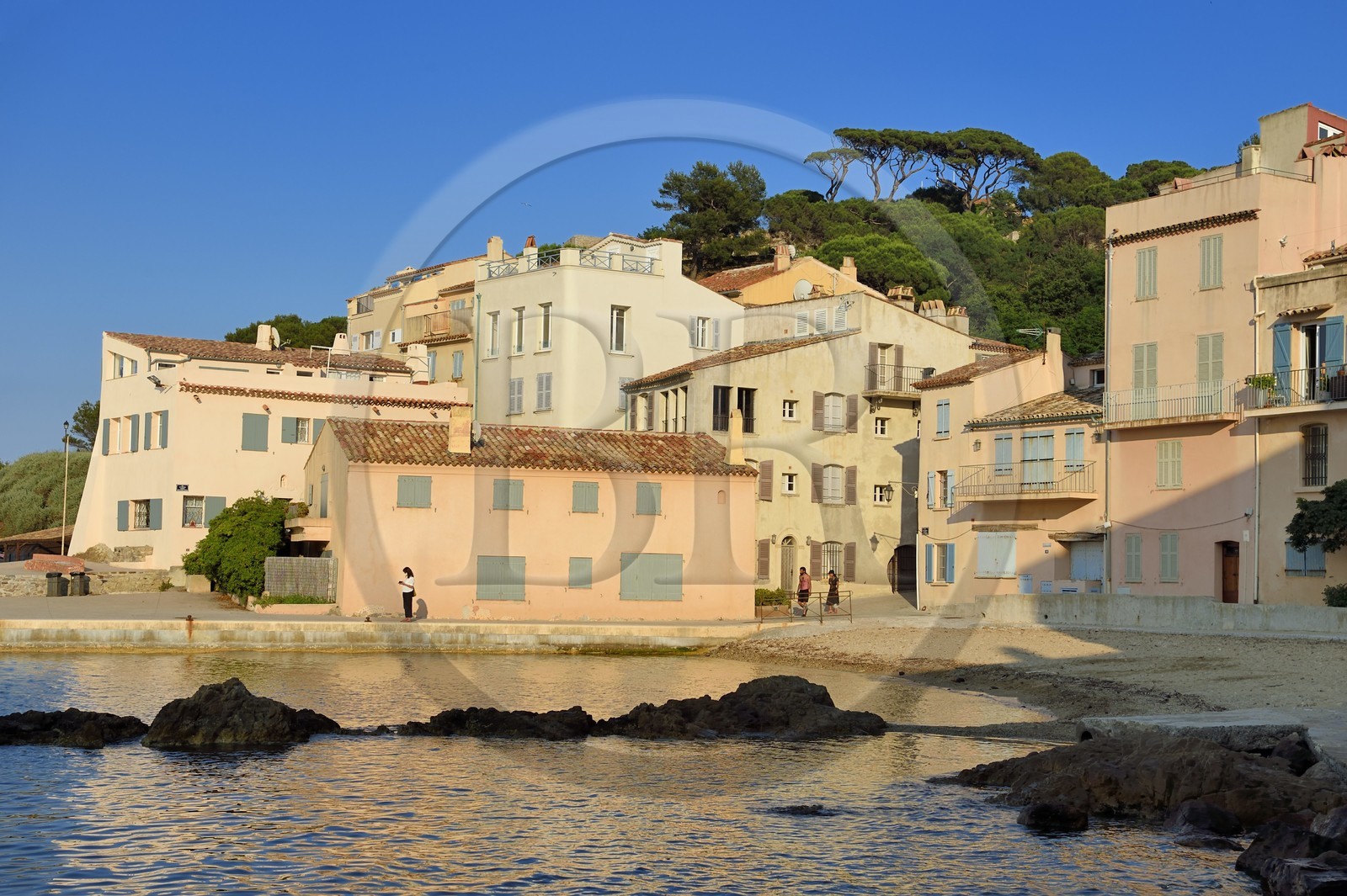 France, Var (83), Saint-Tropez, la plage de la Ponche où se dressent de hautes maisons aux façades couleurs ocre, jaune ou orangé