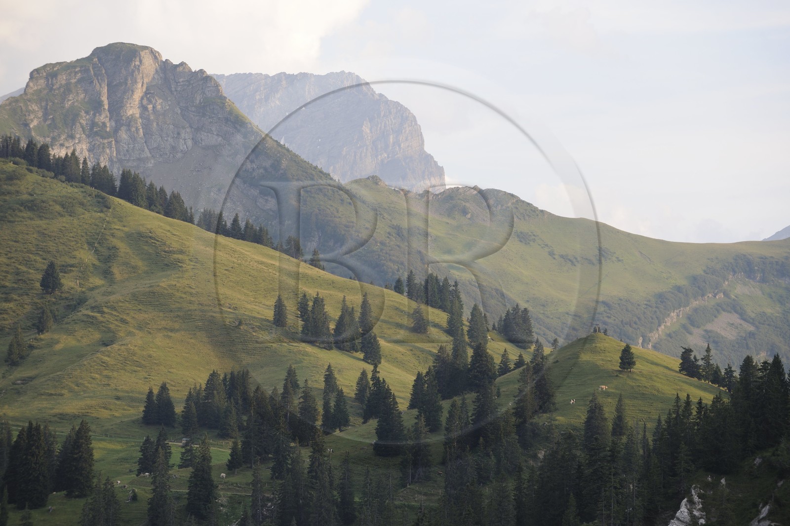 Suisse, canton de Vaud, Les Diablerets au Col de la Croix