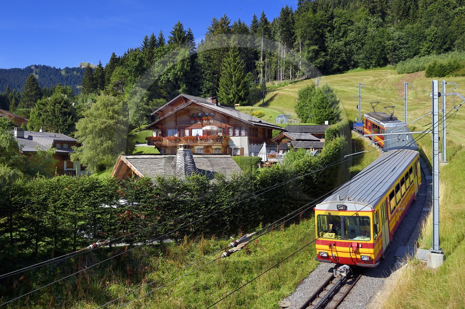 Suisse, canton de Vaud, Villars-sur-Ollon, train qui rejoint la gare du col de Bretaye