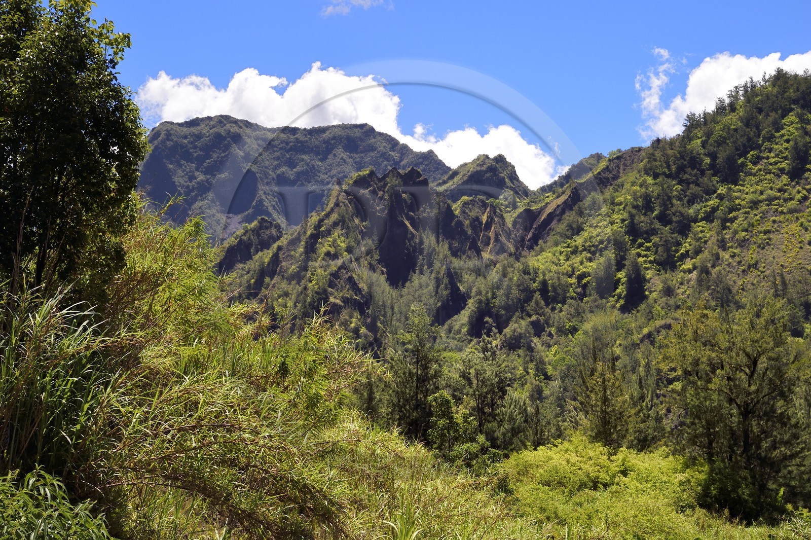 France, Ile de la Reunion, Cirque de Salazie, classé Patrimoine Mondial de l'UNESCO, vers Mare à Poule d'Eau