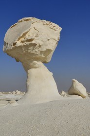 Egypte, désert libyque, le Désert Blanc au nord de Farafra