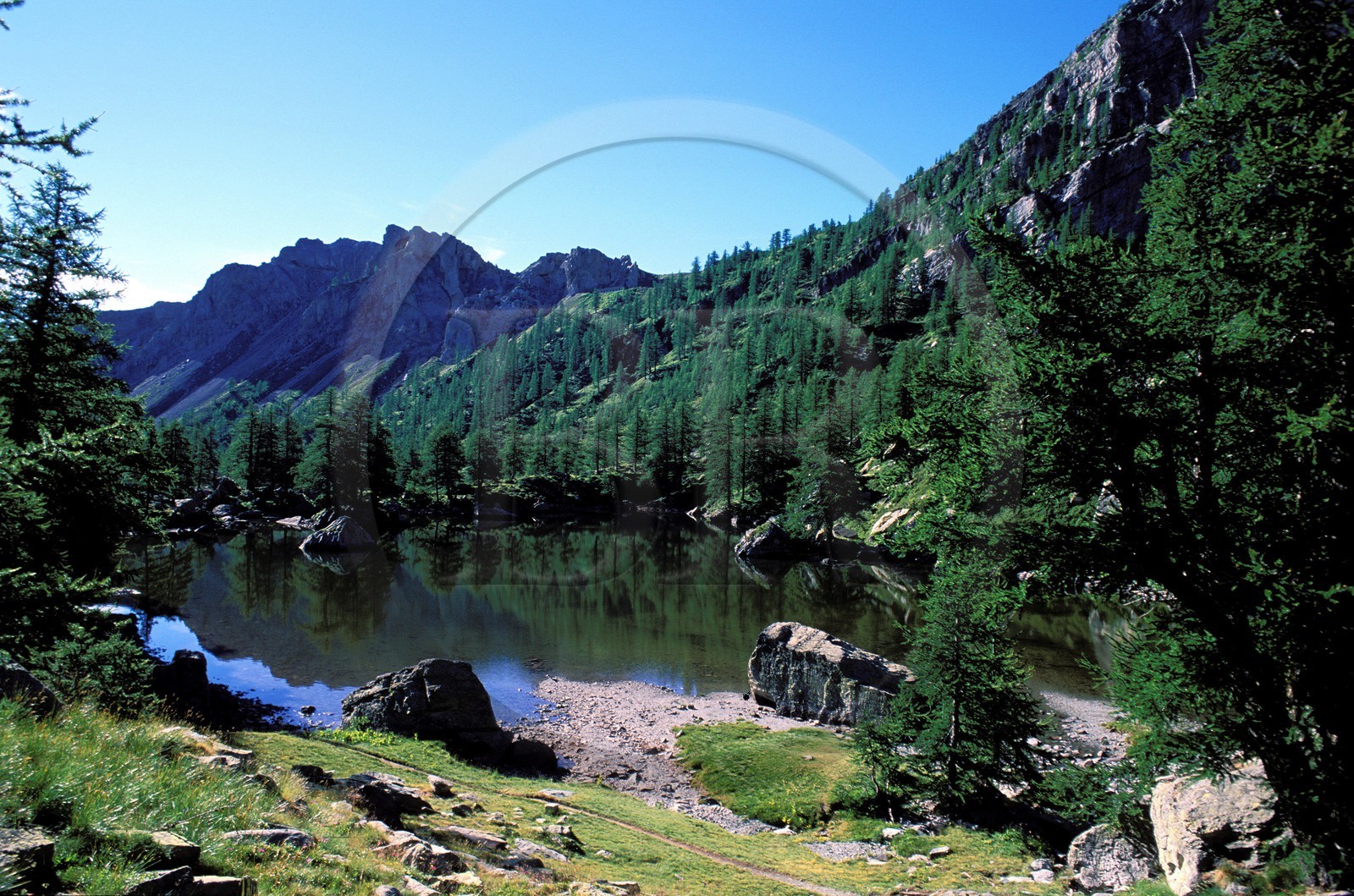 France, Alpes-Maritimes (06), parc national du Mercantour, Vallée des Merveilles vers Fontanalbe, le Lac Vert