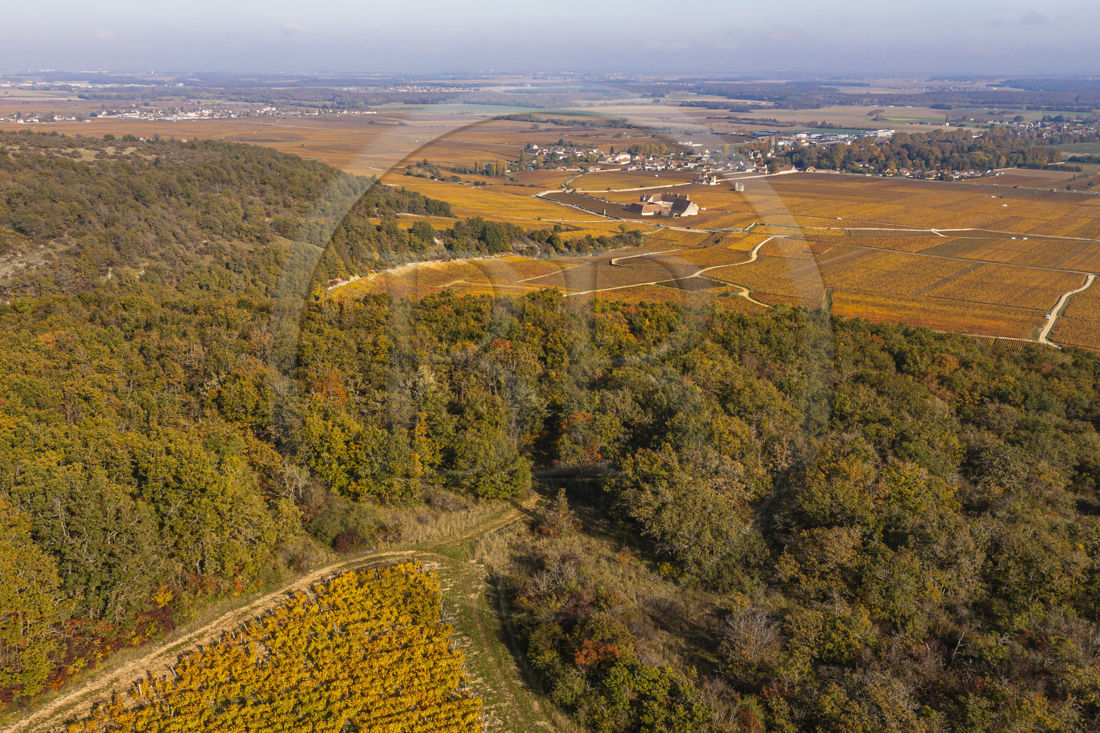 France, Côte-d'Or (21), Paysage culturel des climats de Bourgogne classés Patrimoine Mondial de l'UNESCO, Vougeot, Route des Grands Crus, vue depuis les collines du chateau du Clos de Vougeot entouré de vignoble dans les climats (vue aérienne)
