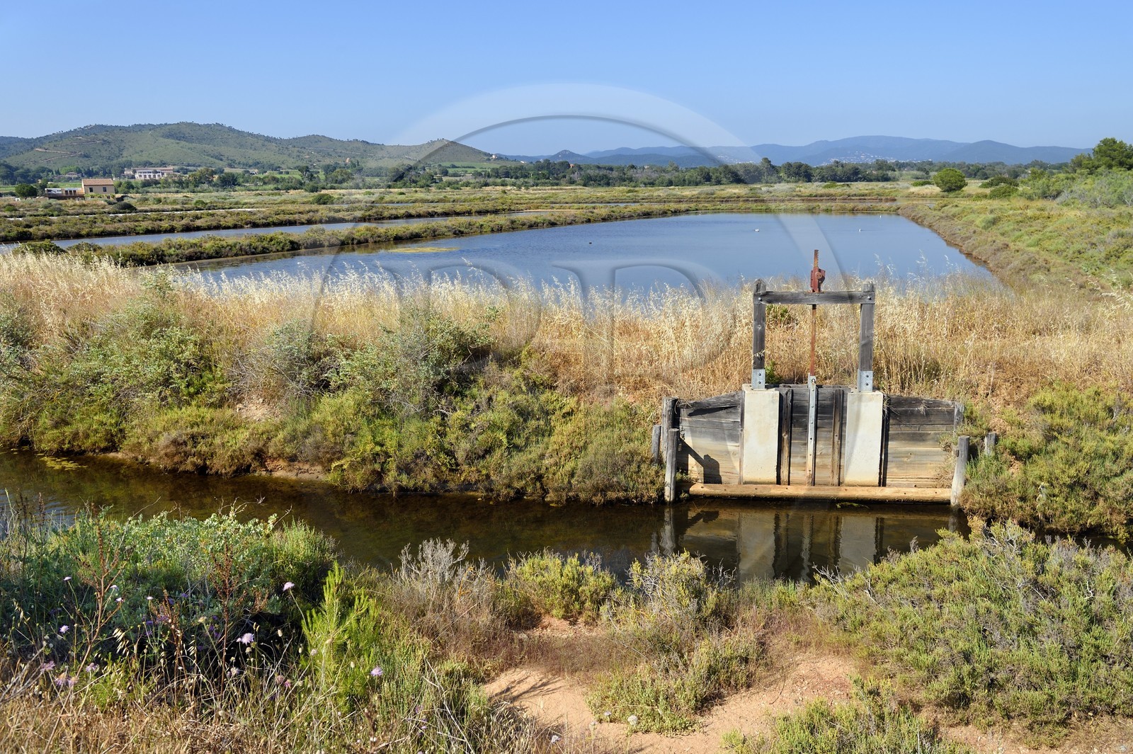France, Var (83), Hyères, Conservatoire du littoral, les Vieux Salins (marais salants)