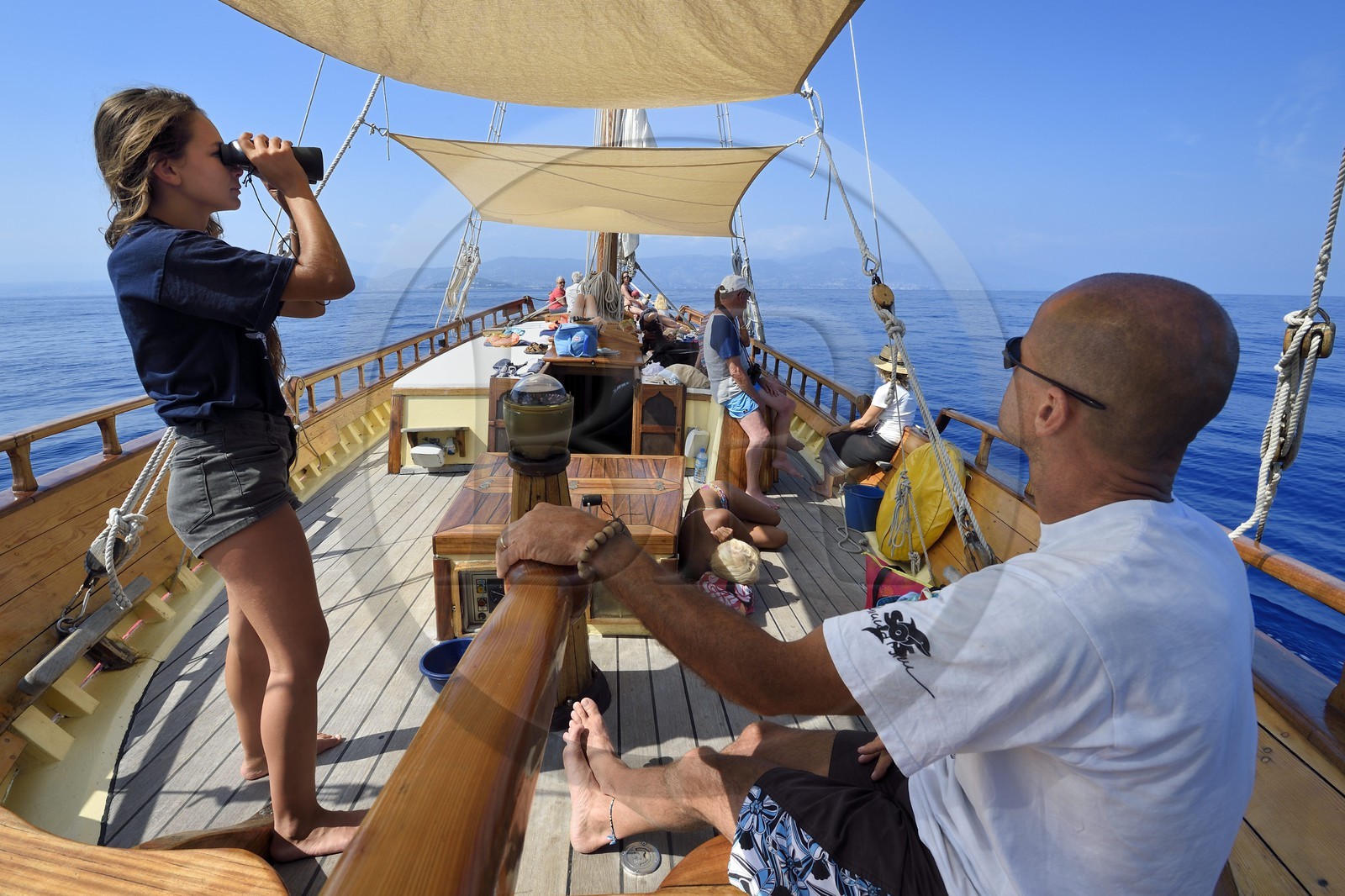 France, Alpes-Maritimes (06), Saint-Jean-Cap-Ferrat, sortie en mer sur le bateau Santo Sospir avec l'association SOS Grand Bleu pour l'observation des dauphins et des baleines dans le Sanctuaire Pelagos