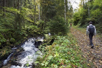 France, Vosges (88), Le Valtin, randonnée dans la vallée du Valtin dans la haute-vallée de la Meurthe sur le sentier des panoramas du Valtin