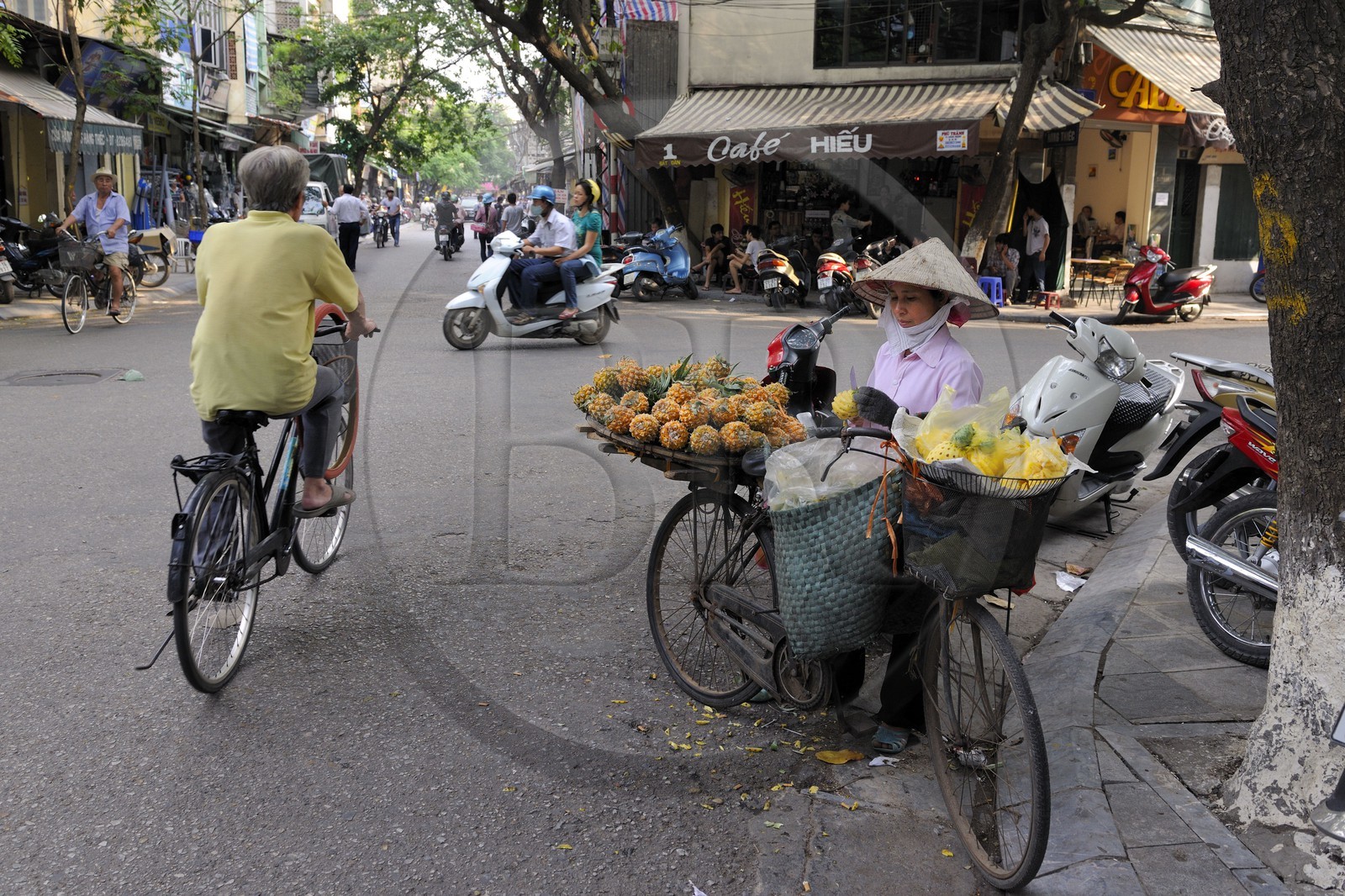 Vietnam, Hanoï, vieille ville, marchande de fruits (ananas victoria) à vélo