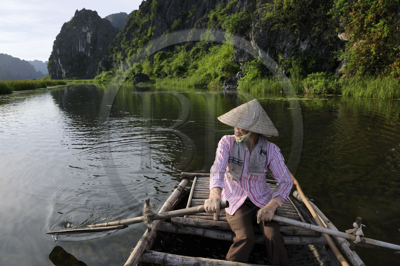 Vietnam, province de Ninh Binh, région surnommée la baie d'Halong terrestre, réserve naturelle de Van Long et ses paysages karstiques