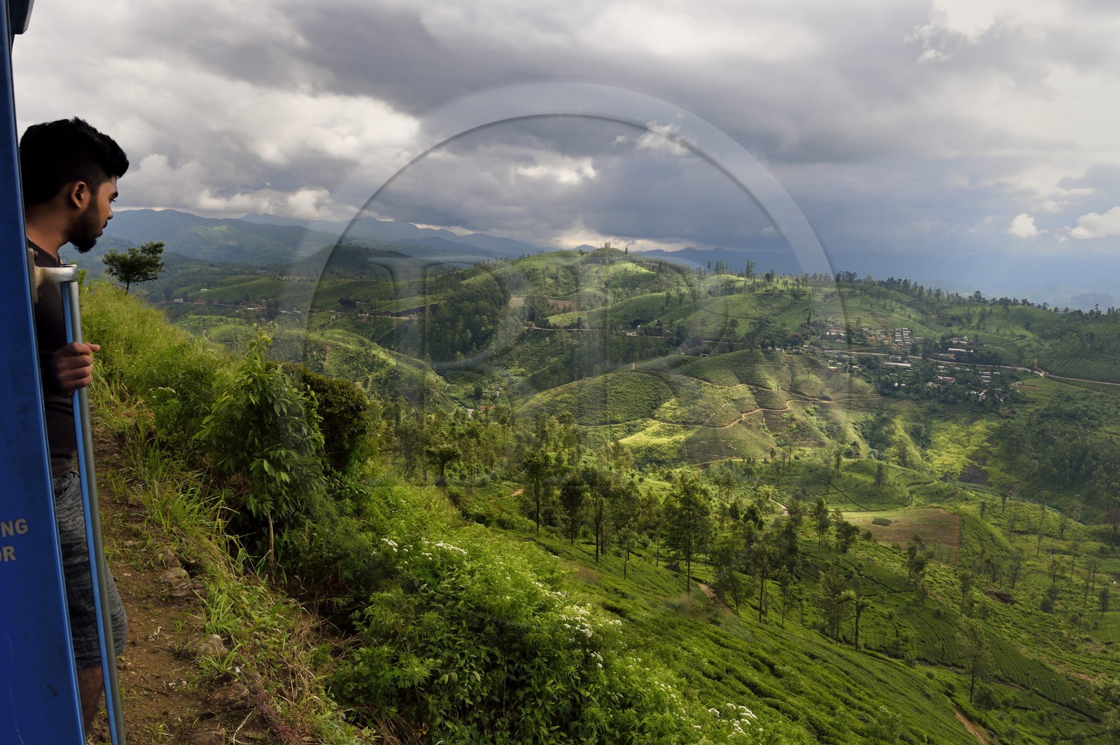 Sri Lanka, Province du Centre, trajet en train dans la région montagneuse de la culture du thé entre Hatton et Badulla, ici entre Great Western et Raddalla, passager accroché aux portières observant les plantations de thé