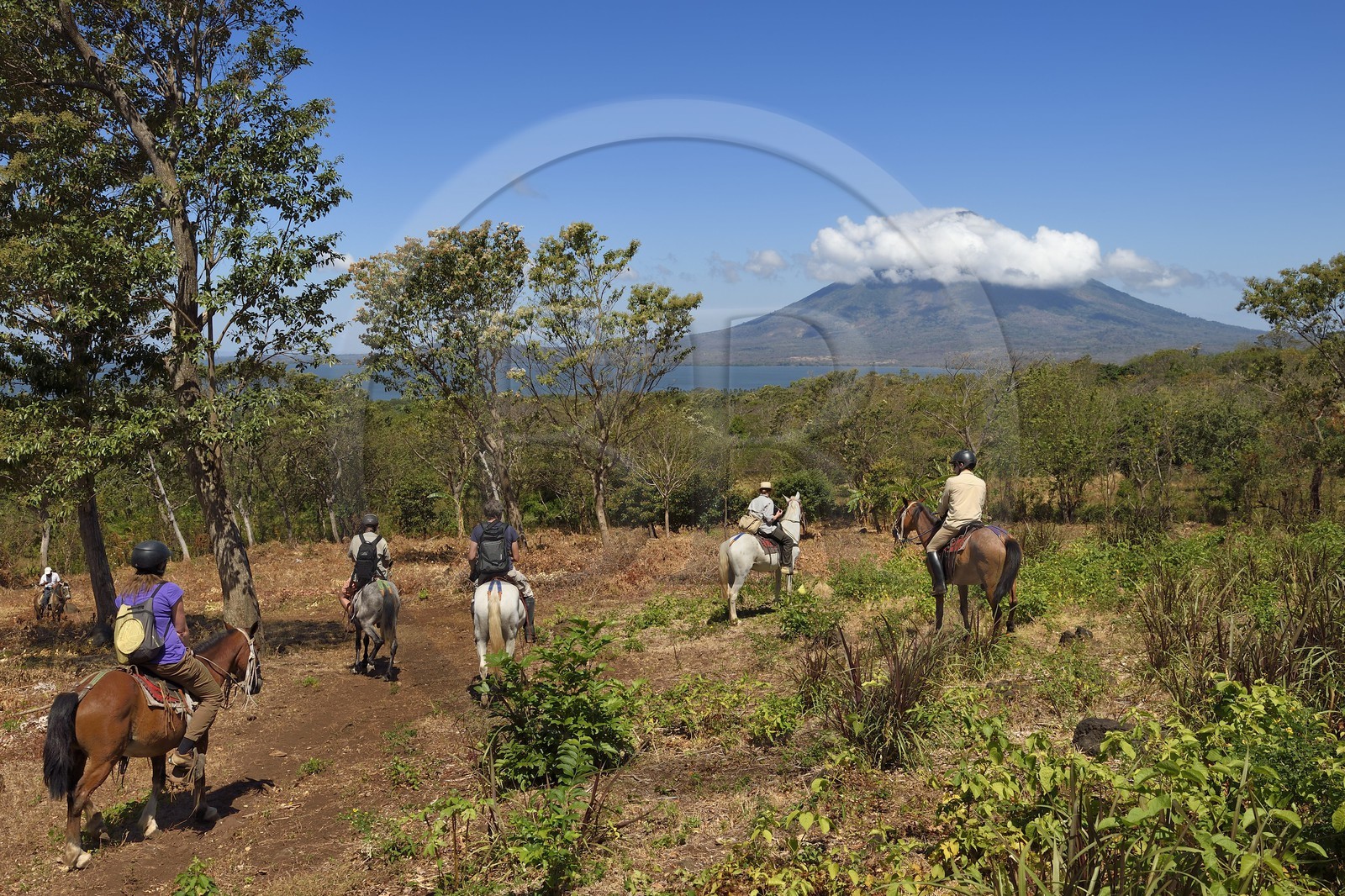 Nicaragua, Ile d'Ometepe sur le lac Nicaragua, cavaliers en randonnée et le volcan Conception (1610 m) toujours en activité en arrière plan