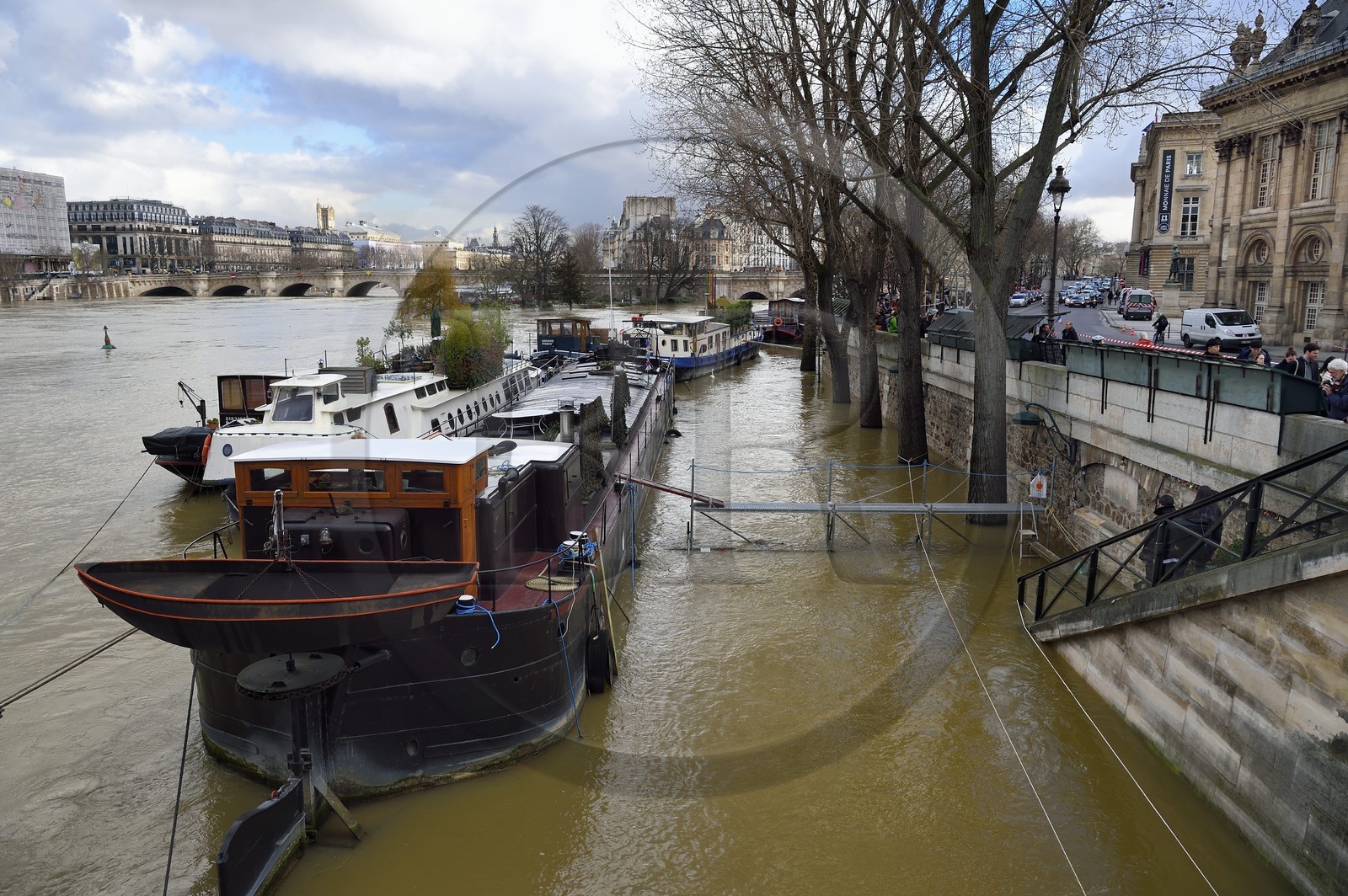 France, Paris (75), les rives de la Seine, classées Patrimoine Mondial de l'UNESCO, le quai de Conti inondé et le Pont Neuf en arrière plan