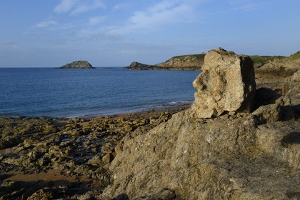 France, Ille-et-Vilaine (35), Saint-Malo, Rothéneuf, rochers sculpté par l'abbé Fouré entre 1870 et 1904