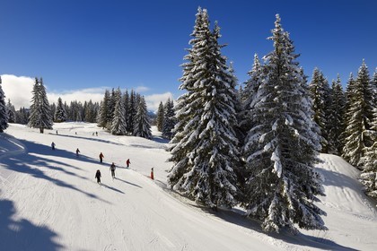 France, Haute-Savoie (74), Morzine, la vallée d'Aulps, massif du Chablais, domaine skiable des Portes du Soleil, piste de ski sur le Pléney (1554m)