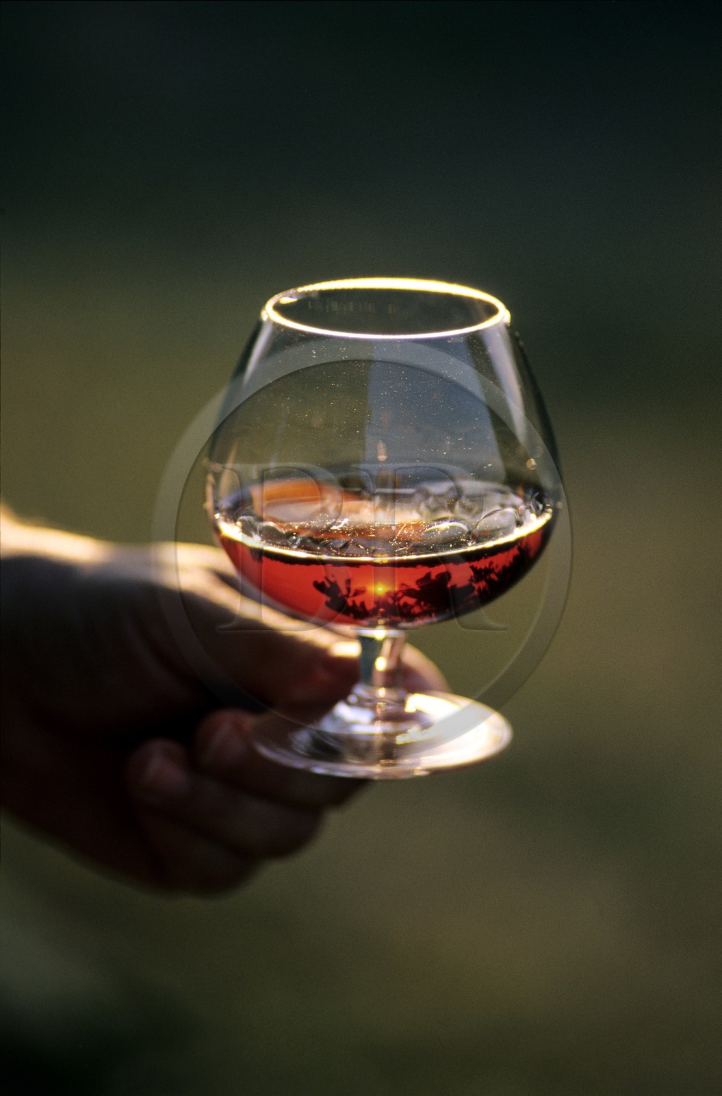 France, Gers (32), un verre de Cognac