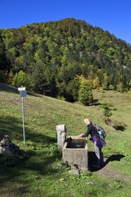 France, Haut-Rhin (68), Parc naturel régional des ballons des Vosges, Storckensohn, montagne de La Tête des Perches, la chaume de Gazon vert, randonneur buvant à la fontaine