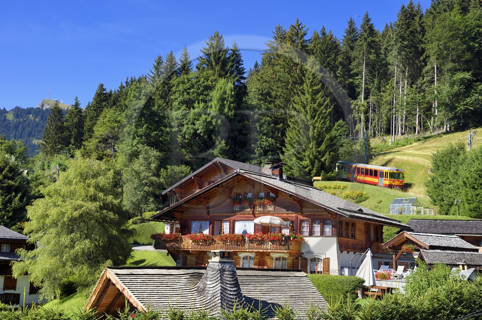 Suisse, canton de Vaud, Villars-sur-Ollon