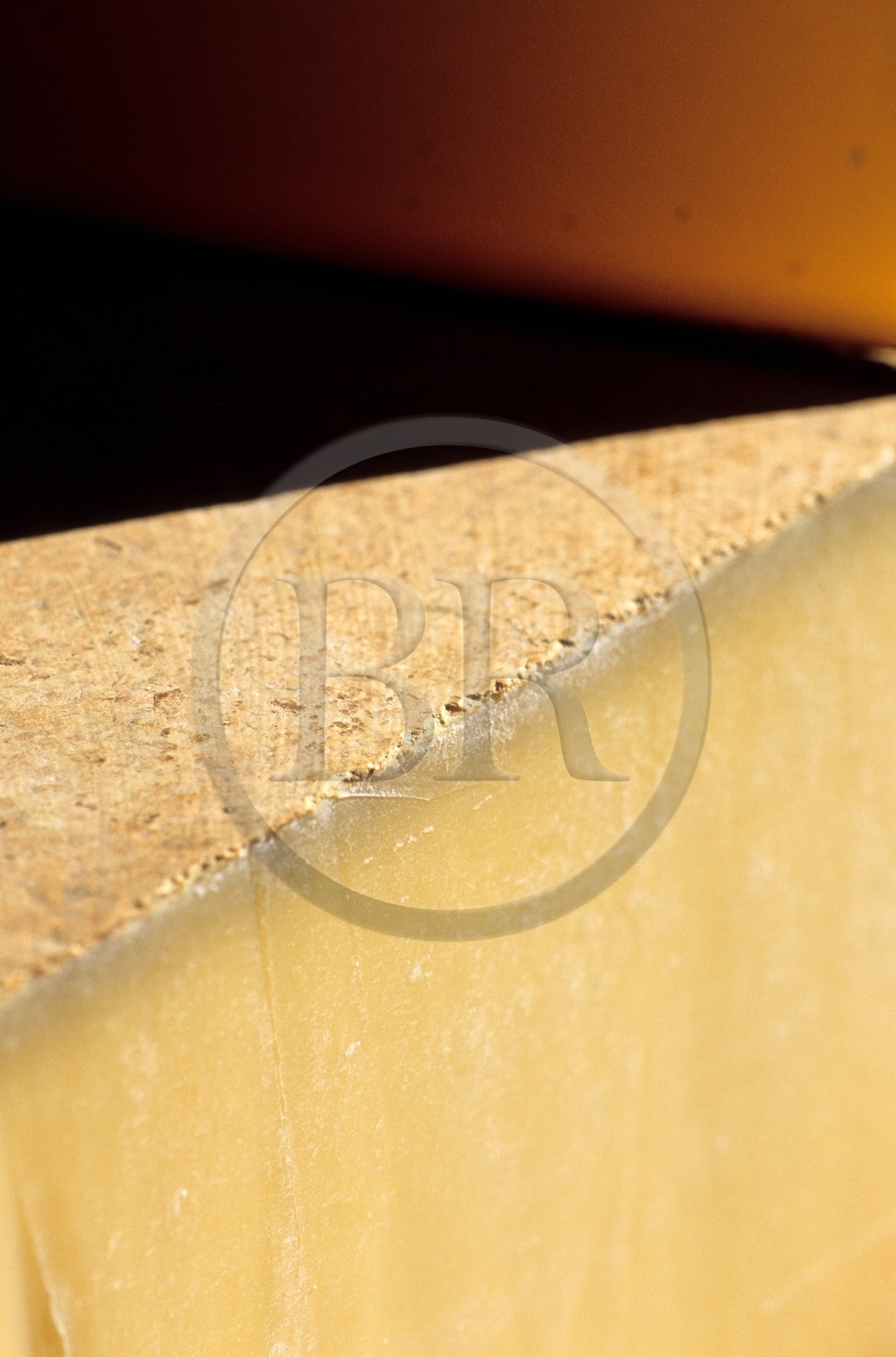 France, Doubs (25), Fort Saint Antoine, cave d'affinage du Comté de montagne