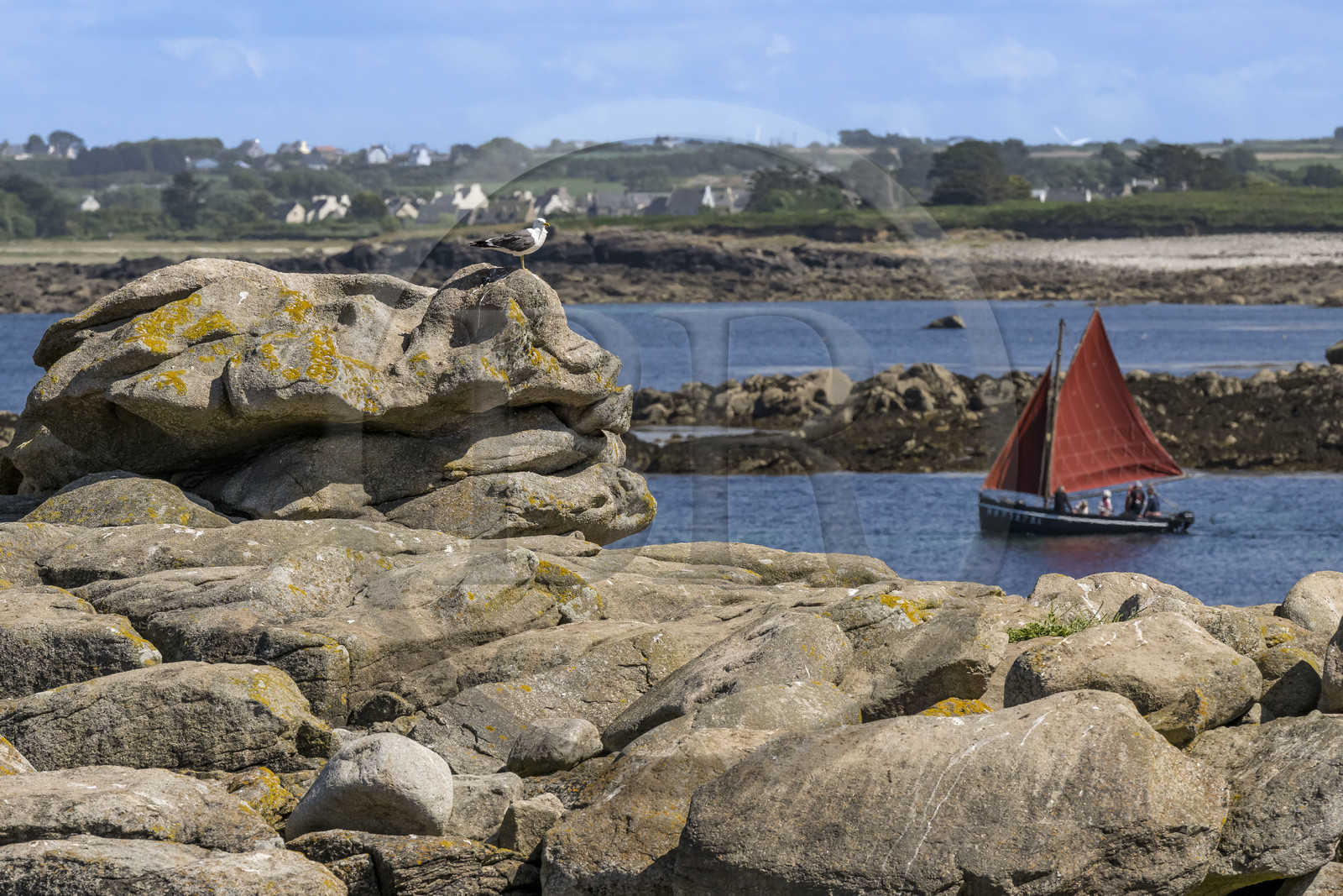 France, Finistère (29), Pays des Abers, Ile Vierge dans l'archipel de Lilia, voilier traditionnel voguant dans l'estuaire de l'Aber Wrac'h