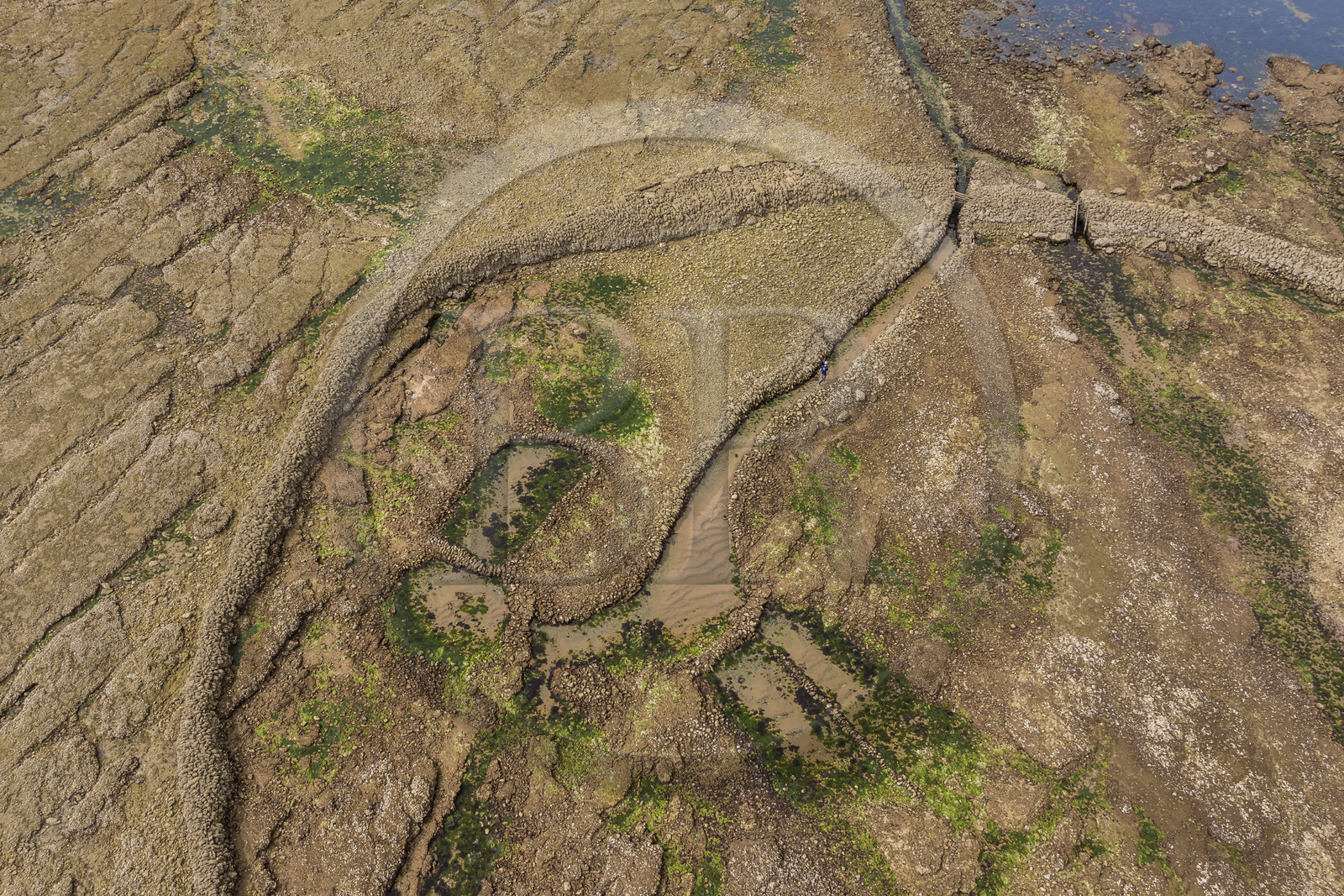 France, Charente-Maritime (17), Ile d'Oléron, Saint-Georges-d'Oléron, plage des Sables Vignier à marée basse, l'écluse à poissons des Basses (vue aérienne)