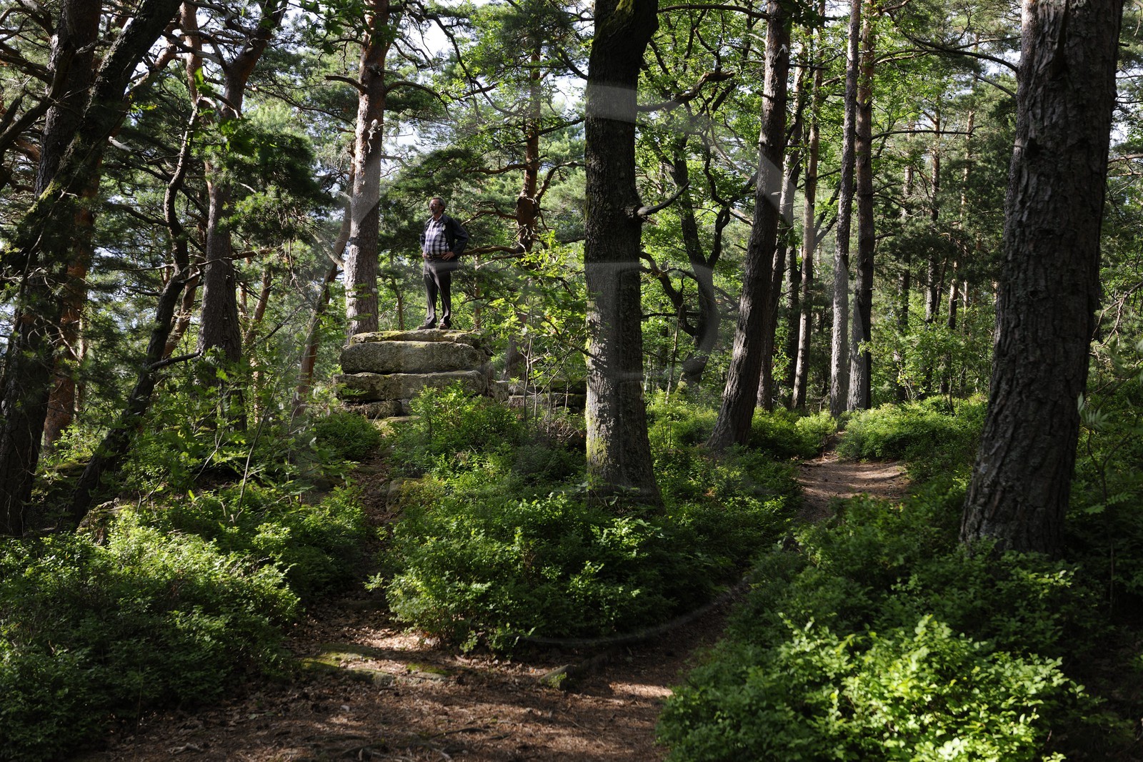 France, Bas-Rhin (67), le Mont Saint-Odile, le mur païen