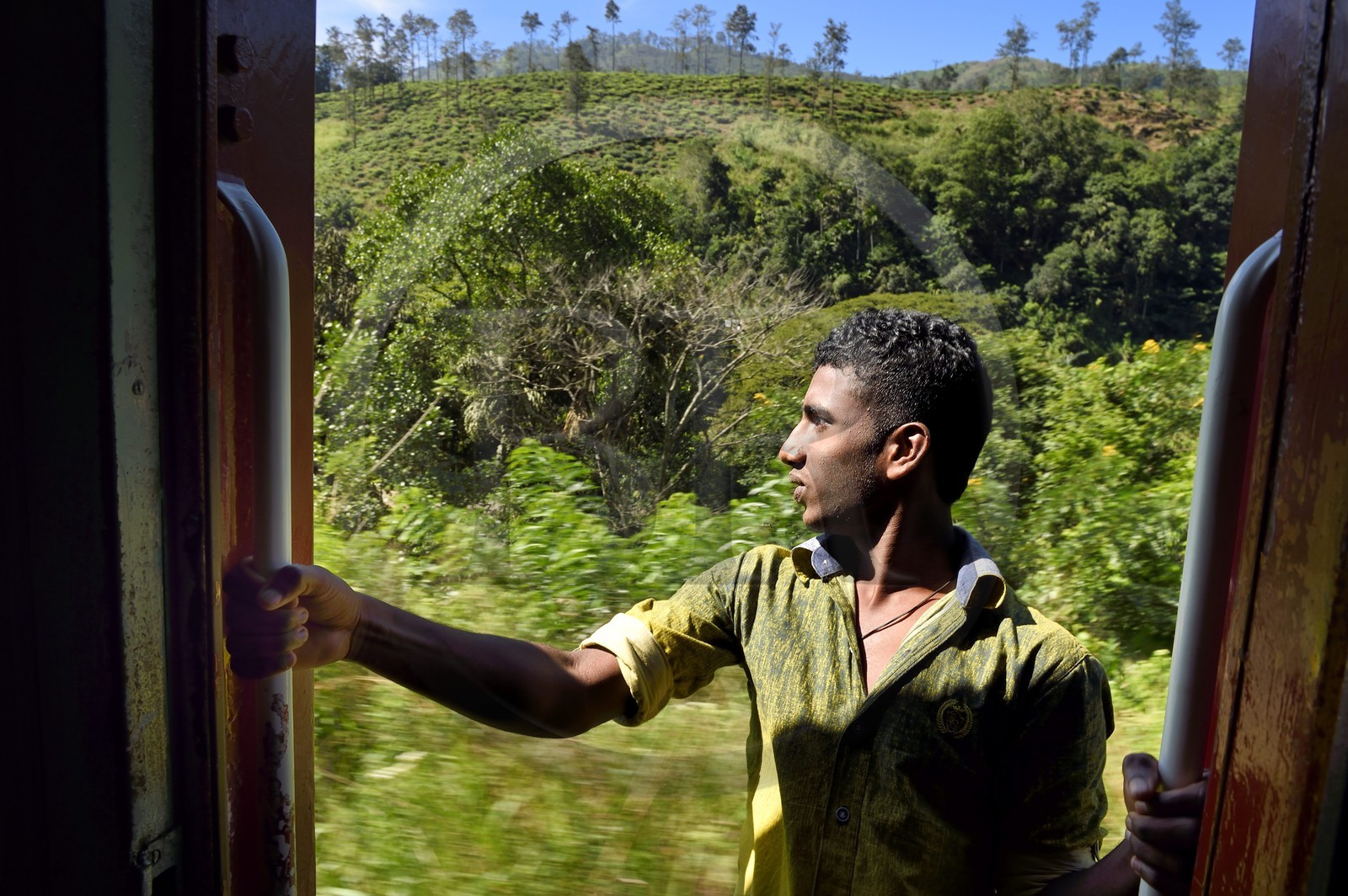 Sri Lanka, Province d'Uva, trajet en train dans la région montagneuse de la culture du thé entre Badulla et Ella, passager accroché aux portières