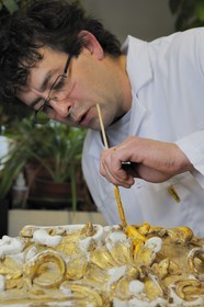 France, Yvelines, Chateau de Versailles, the castle restoration workshop, gilt workshop, Laurent Hissier working on a frame