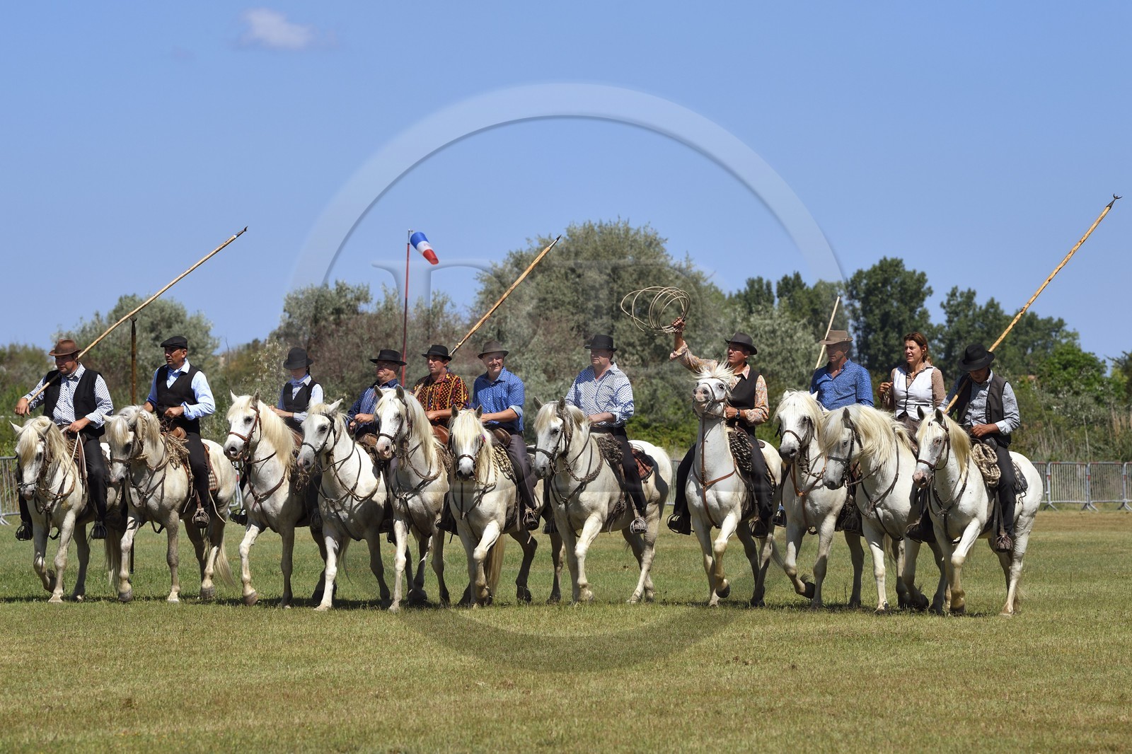 France, Bouches du Rhone, Parc naturel regional de Camargue (Regional Natural Park of Camargue), La Regie de Frigoules, gardians on horseback during a branding